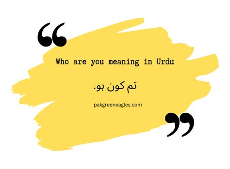 who are you meaning in urdu|More.